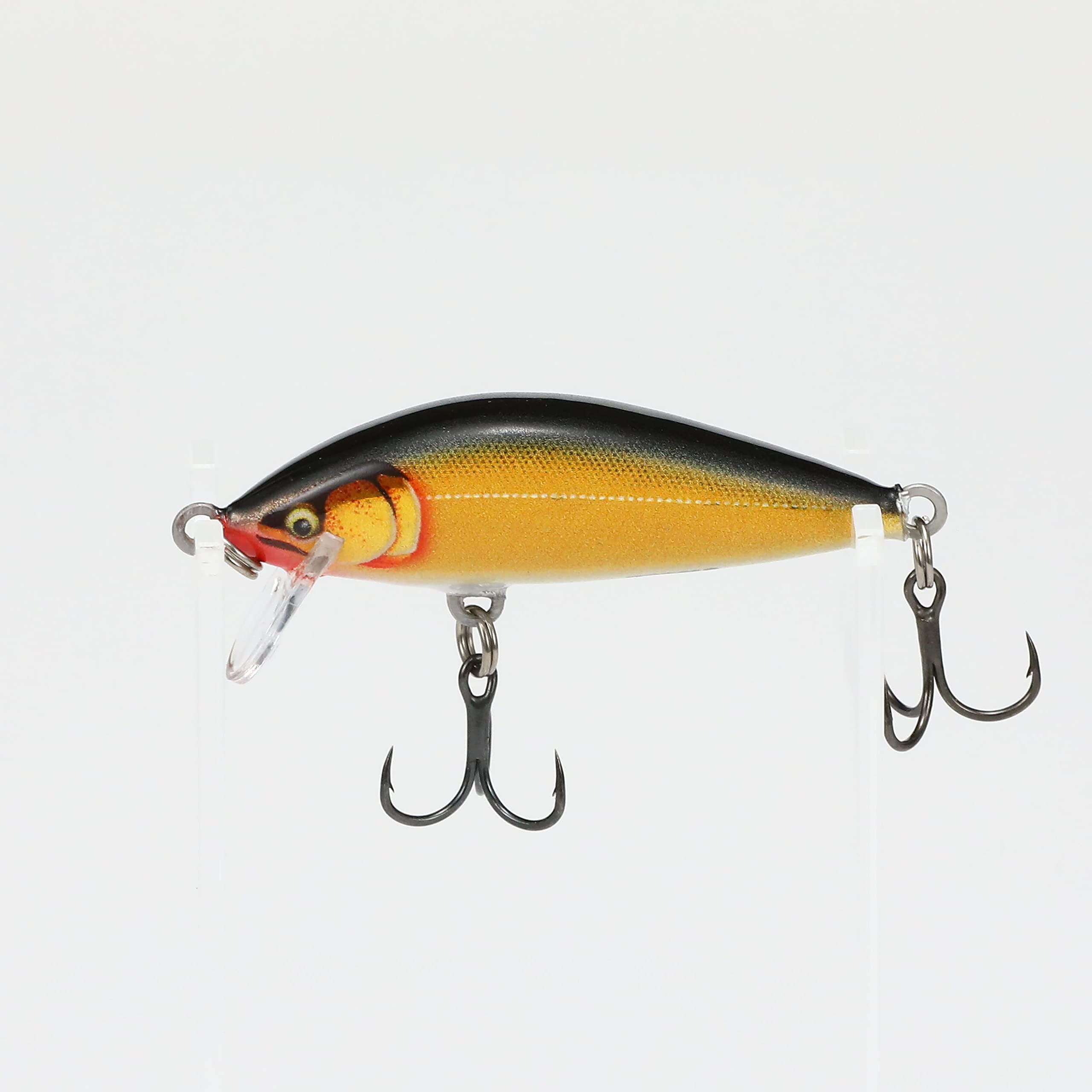 Amazon.com : Rapala Countdown Elite 55 Gilded Gold Shad